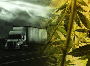California Cannabis Rules May Legally Compromise Some Transporters